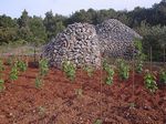 Vineyards with stonehouses