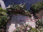 Vertical view on a part of our garden