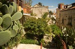 Studio, garden